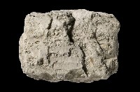 泥岩藏品圖，第5張